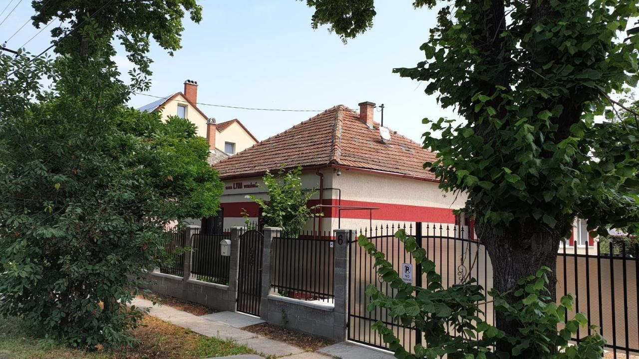 Casa Lyna Villa Gyomaendrőd Exterior foto